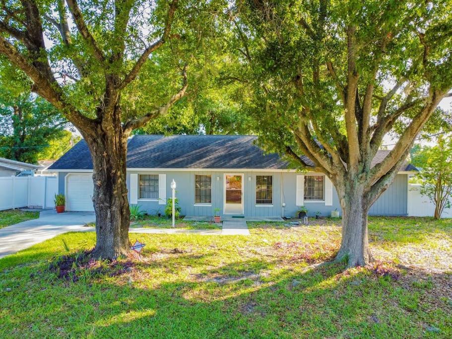 Town 'N' Country Cozy Corner, Your Florida Fun Hub Villa Tampa Eksteriør bilde